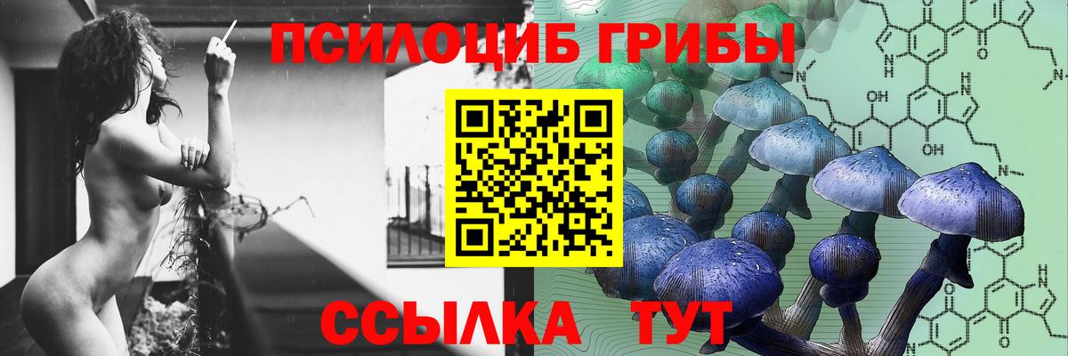 Галлюциногенные грибы Magic Shrooms Саяногорск